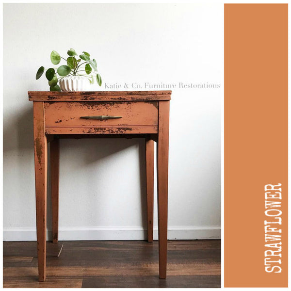 STRAWFLOWER - MILK PAINT - Rove + Dwell